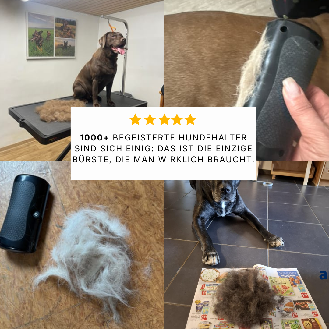 Fellzauber Bürste - Der absolute Bestseller